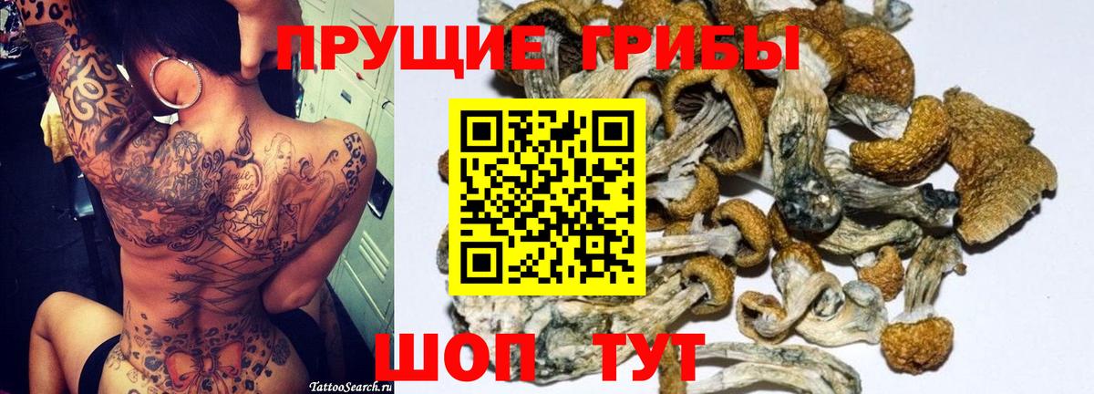 Галлюциногенные грибы Cubensis  Вход с VPN  Котлас  Галлюциногенные грибы Psilocybe 